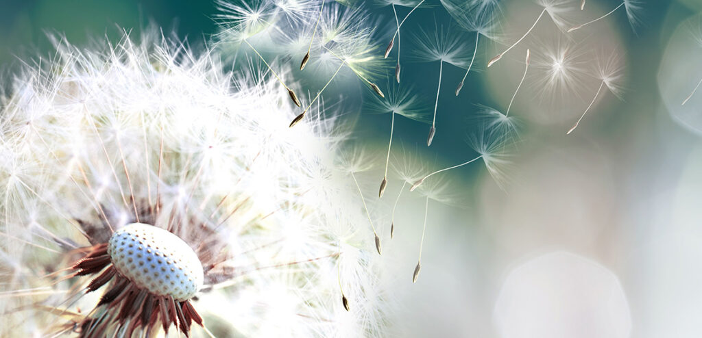 Allergies Emerald Labs Allergy Health